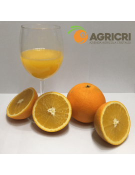 Oranges from Juice