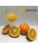 Oranges from Juice