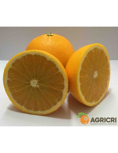 Tarocco oranges