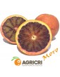 Red oranges
