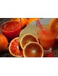 Arance Misto