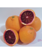 Red oranges