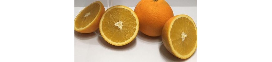 Oranges "Navelina"