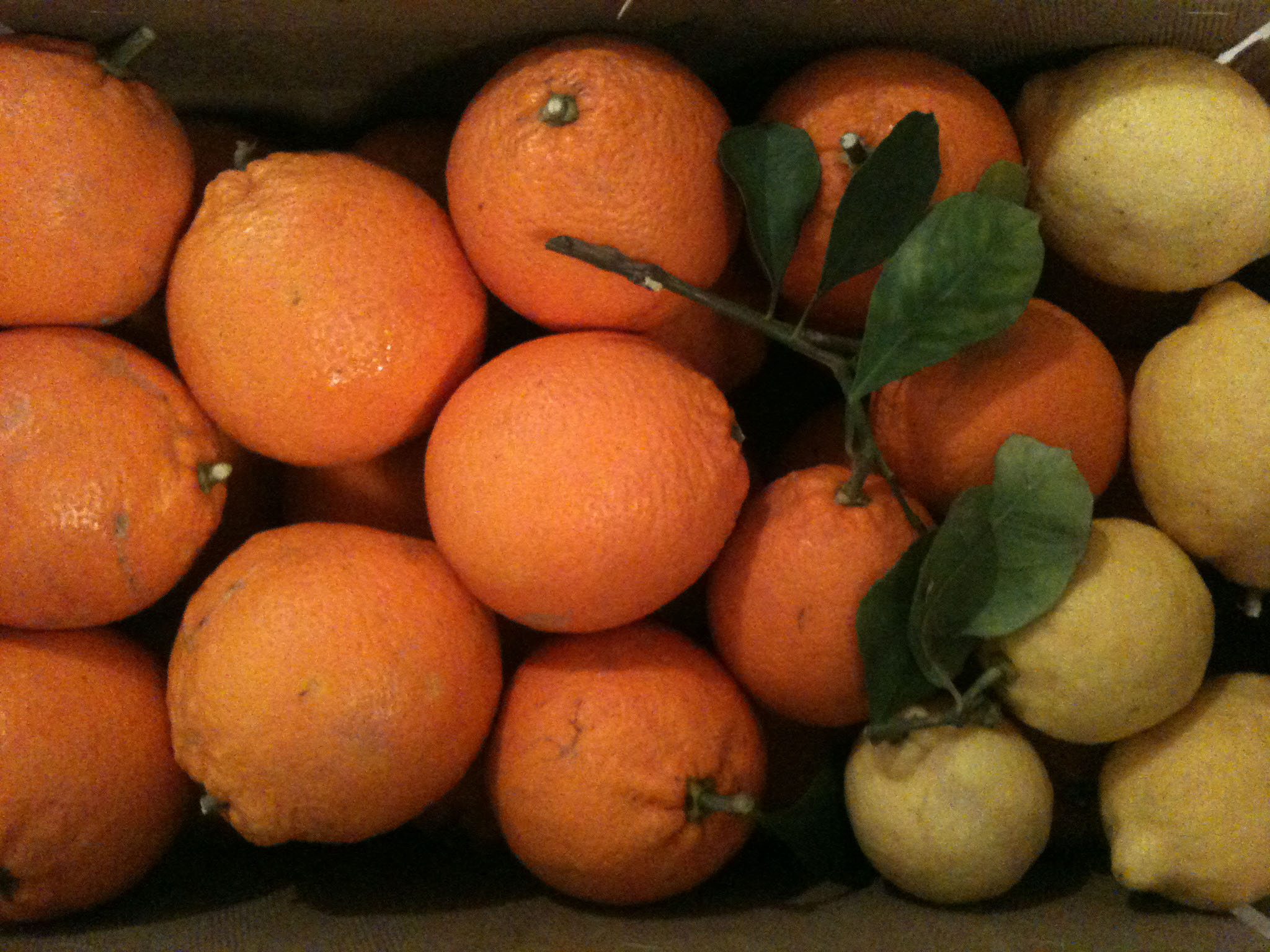 Arance e Limoni