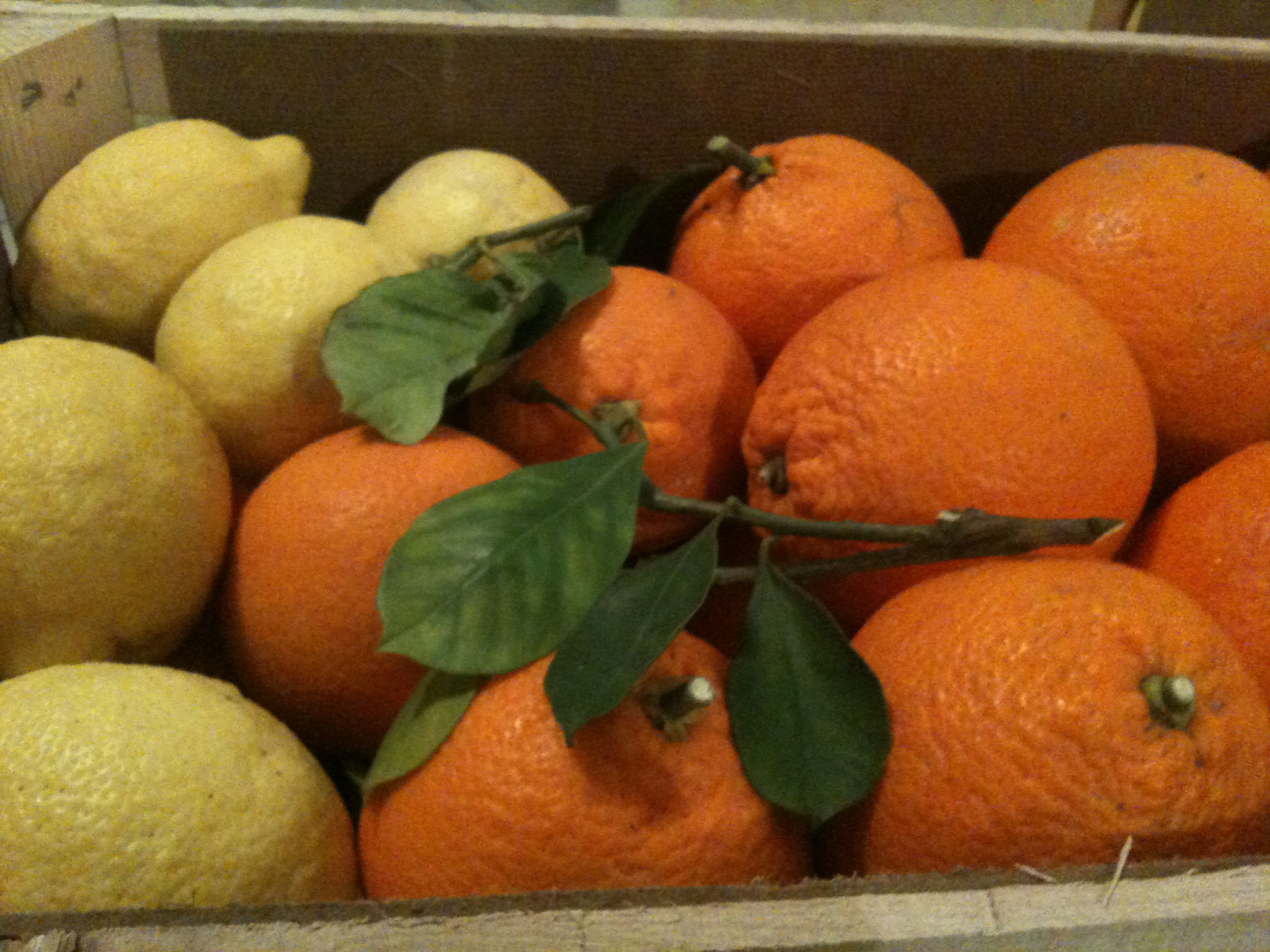 Arance e limoni